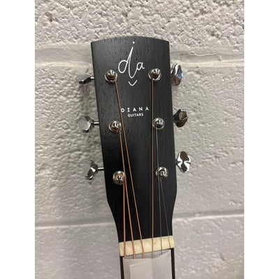 BPM 6 String Acoustic Guitar Bundle, Natural Steel w Case & Strap - Dreadnought