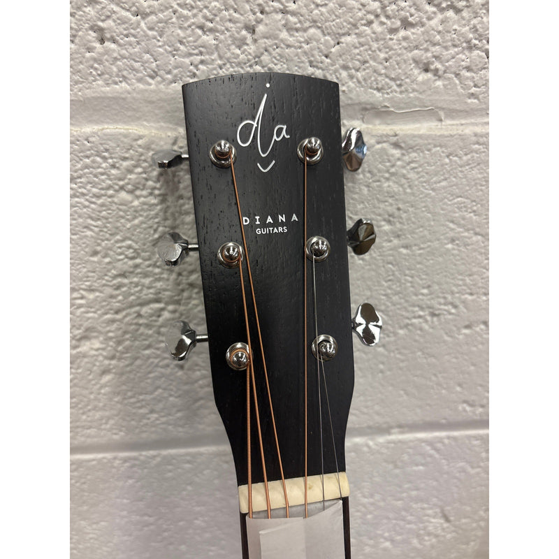 BPM 6 String Acoustic Guitar Bundle, Natural Steel w Case & Strap - Dreadnought