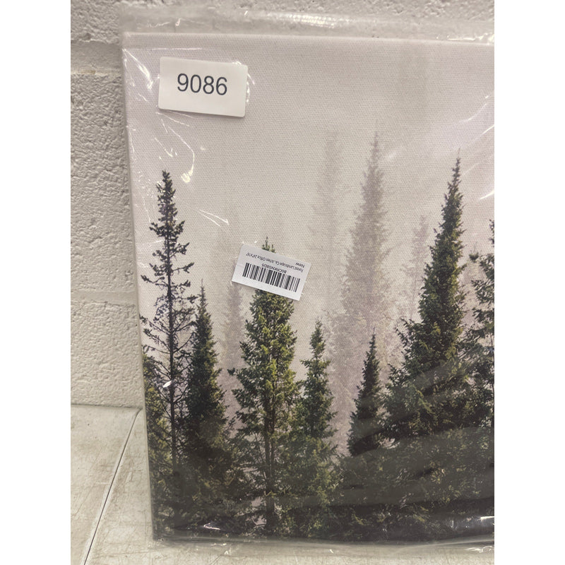 Canvas Art Wall Mounted Forest Trees Nature 24" x 16" Green & White