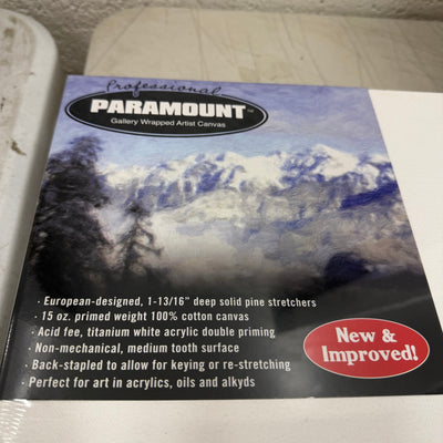 3-Pk 36" x 12" Paramount Professional Canvases, Heavy-Duty Stretched -White