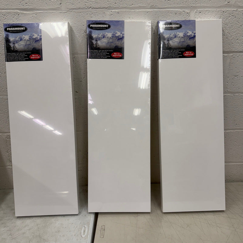 3-Pk 36" x 12" Paramount Professional Canvases, Heavy-Duty Stretched -White