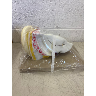 Eisco Labs 5 Part Human Ear Model 4x Life Size, Biology Model, Science, Learning