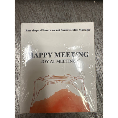 Happy Meeting Joy at Meeting Rose Shaped Mini Massager for Women RED