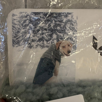 Koolaburra by UGG Pet Carson Reversible Dog Vest - 12-13" Collar, Green - Small