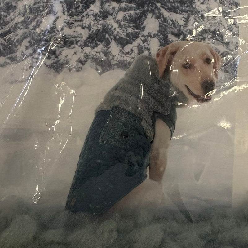 Koolaburra by UGG Pet Carson Reversible Dog Vest - 15-16" Collar, Green - Medium