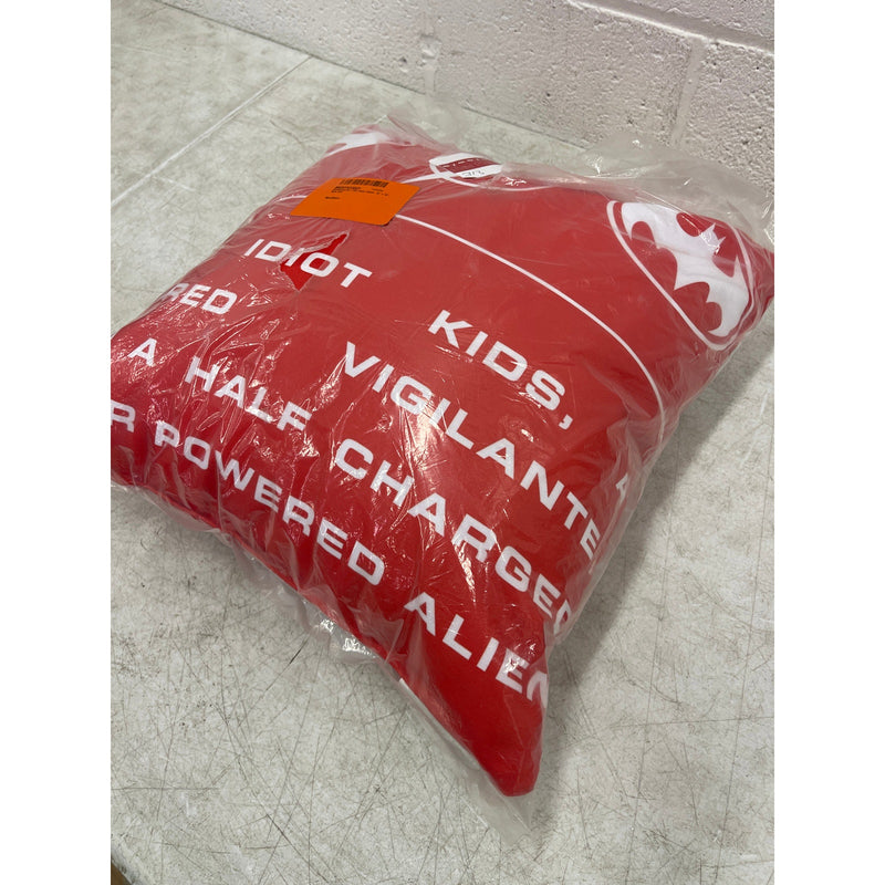 Northwest DC Warner Bros. The Flash Role Call Printed Pillow 18 x 18 Inches