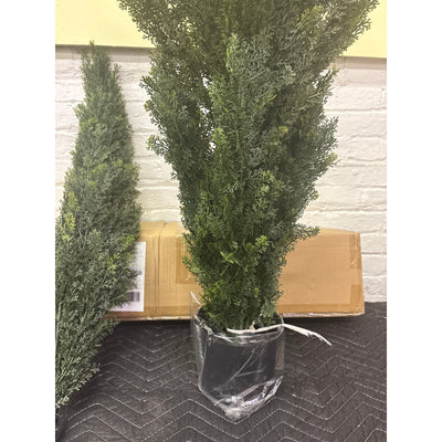Tresil Two-Pack 4-Feet Artificial Cedar Tree with Pot, Home Decor, Plants, Green