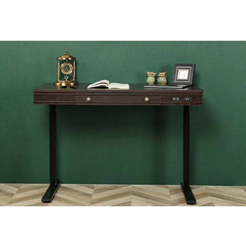 FLEXISPOT Electric Standing Desk w Drawer 48"×24" Wooden Top UD1B Brown / Black