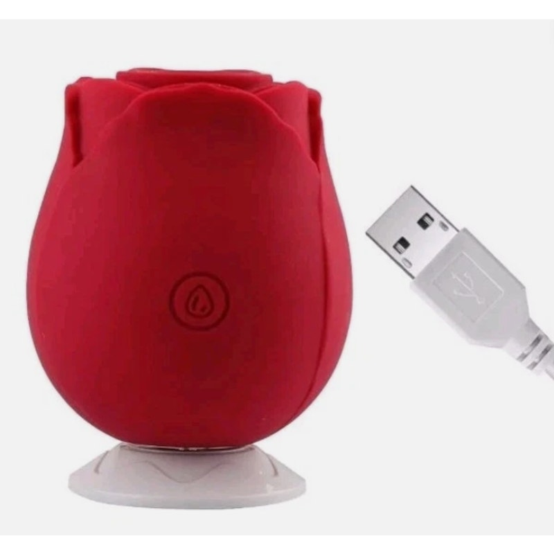 Happy Meeting Joy at Meeting Rose Shaped Mini Massager for Women RED