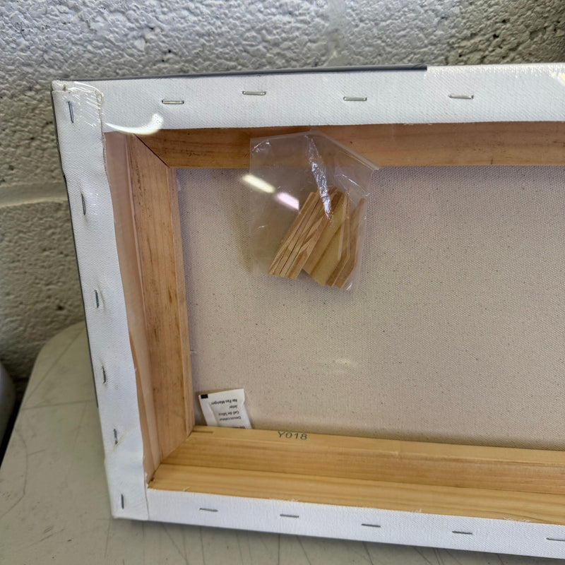 (Box of 3) Paramount Pro Gallery Wrap, 10"x30", 1-13/16 Deep, Stretched Canvas