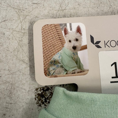 Koolaburra by UGG Pet 1-Piece Pajama Dog Shirt- 12-13" Collar, Aqua Swirl, Small