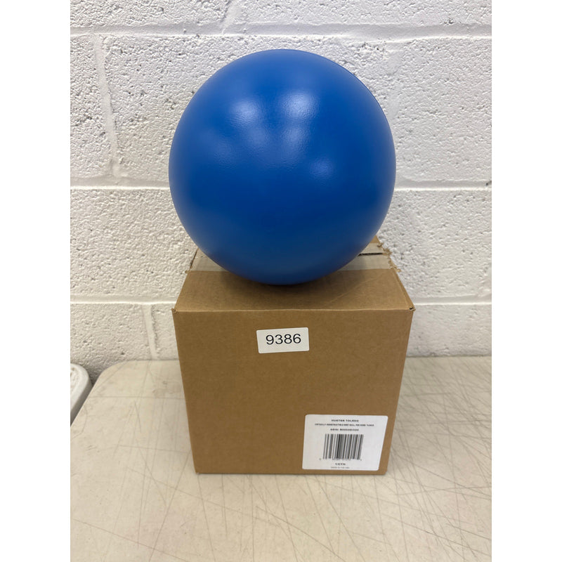 Doggie Dooley Virtually Indestructible Best Ball for Dogs, 10-inch - Blue