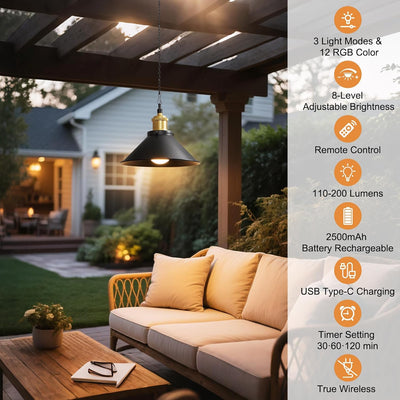 (2pk) Battery Operated Hanging Light w/ Remote & Adjustable Chain - Black