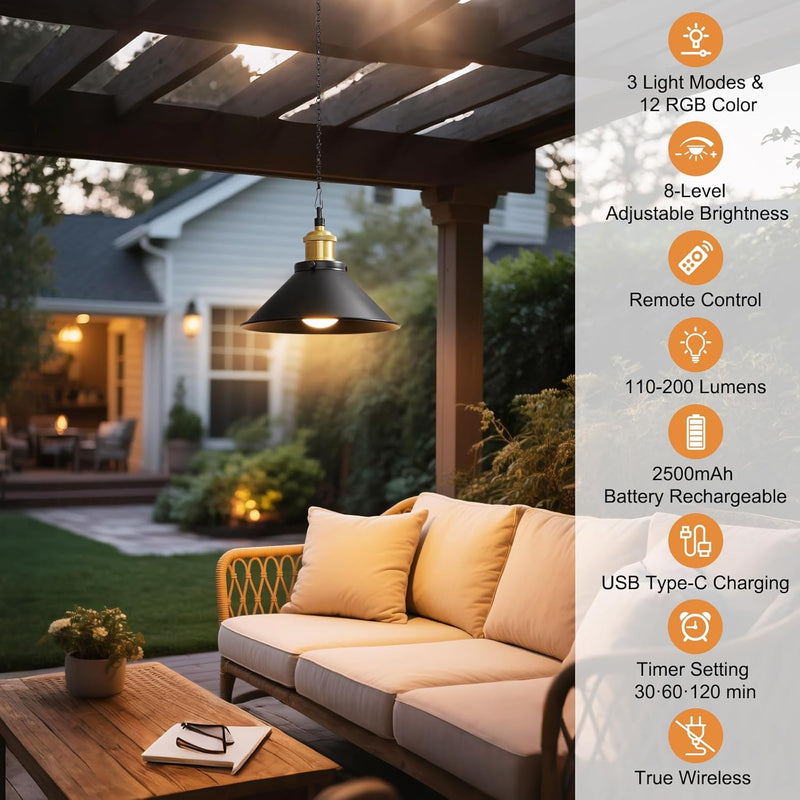 (2pk) Battery Operated Hanging Light w/ Remote & Adjustable Chain - Black