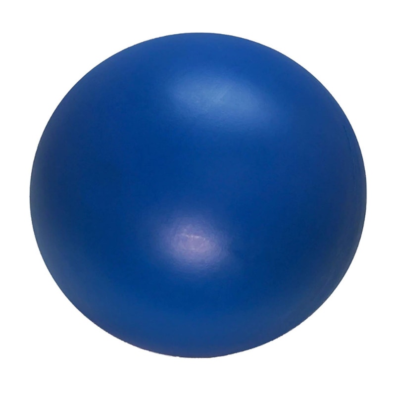 Doggie Dooley Virtually Indestructible Best Ball for Dogs, 10-inch - Blue