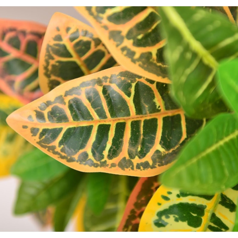 Fake Plant Artificial Croton 23.6&