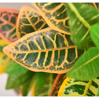 Fake Plant Artificial Croton 23.6'' Tall Colorful Leaves Faux Croton Palm Tree