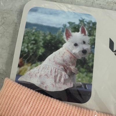 Koolaburra by UGG Pet Printed Shirt Dress for Dogs - 17-18" Collar, Pink - Large