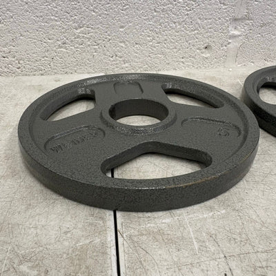 SET-OF-2   5lbs Weight Plates with 2" Bar Diameter, Weight Lifting Training