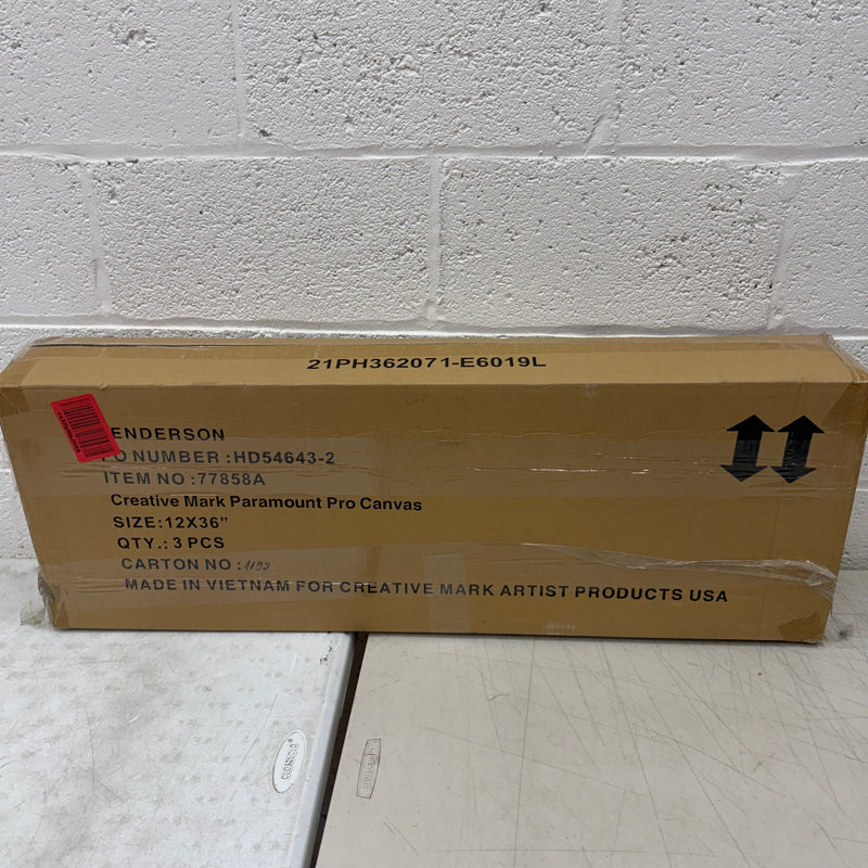 3-Pk 36" x 12" Paramount Professional Canvases, Heavy-Duty Stretched -White