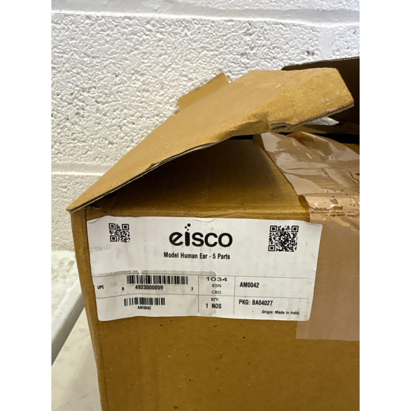 Eisco Labs 5 Part Human Ear Model 4x Life Size, Biology Model, Science, Learning