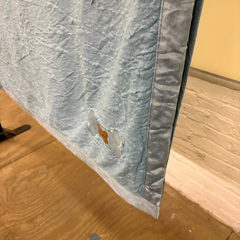 Koolaburra by Ugg Dog Blanket 40" x 50" Soft, Lightweight, Thin - Teal