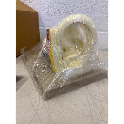 Eisco Labs 5 Part Human Ear Model 4x Life Size, Biology Model, Science, Learning